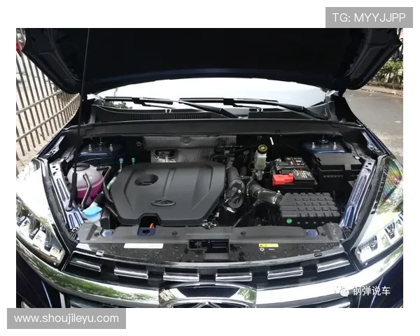 乐鱼竞猜登录后如何安全保护账号信息的实用建议